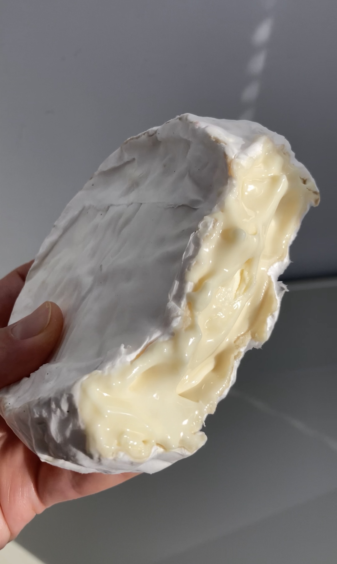 Camembert (traditional) cover