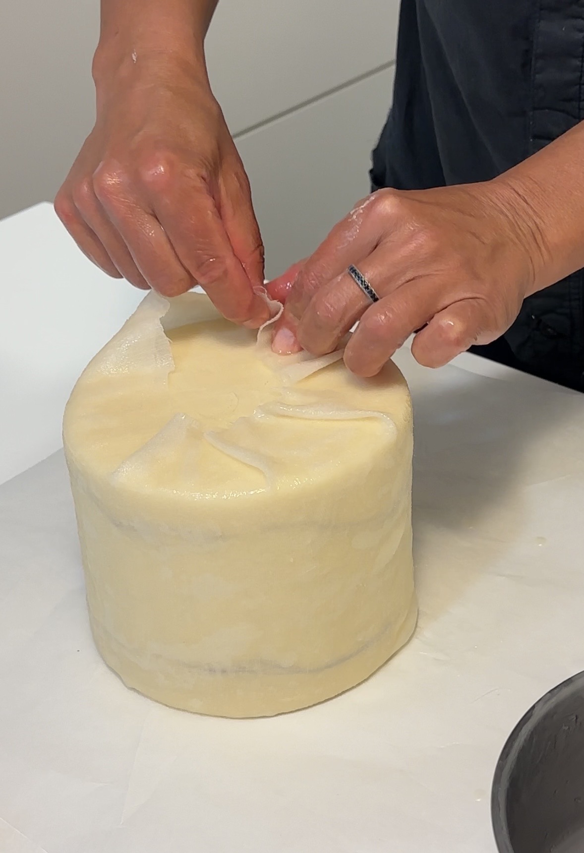 Cheddar cover