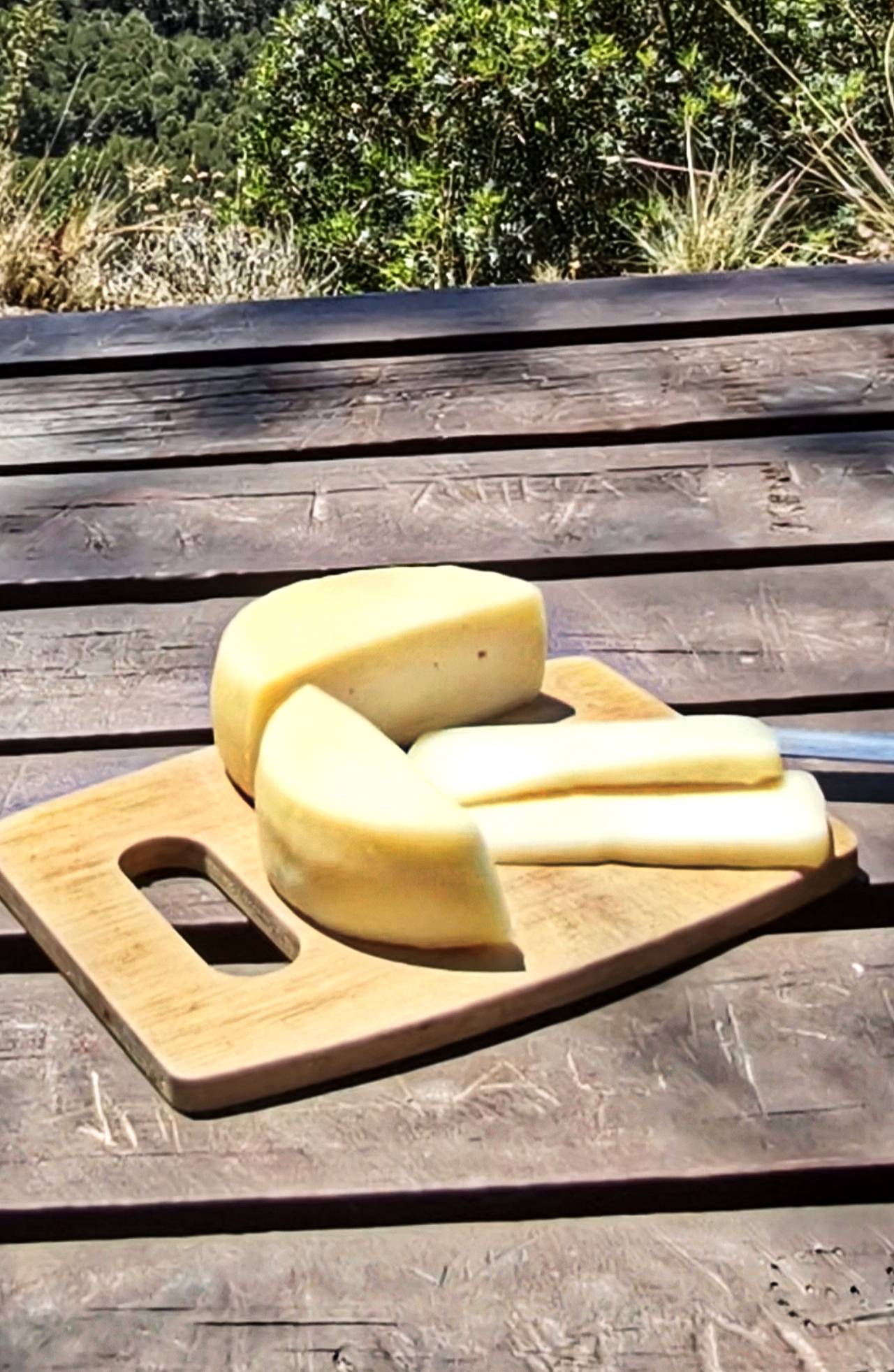 Caciotta cover