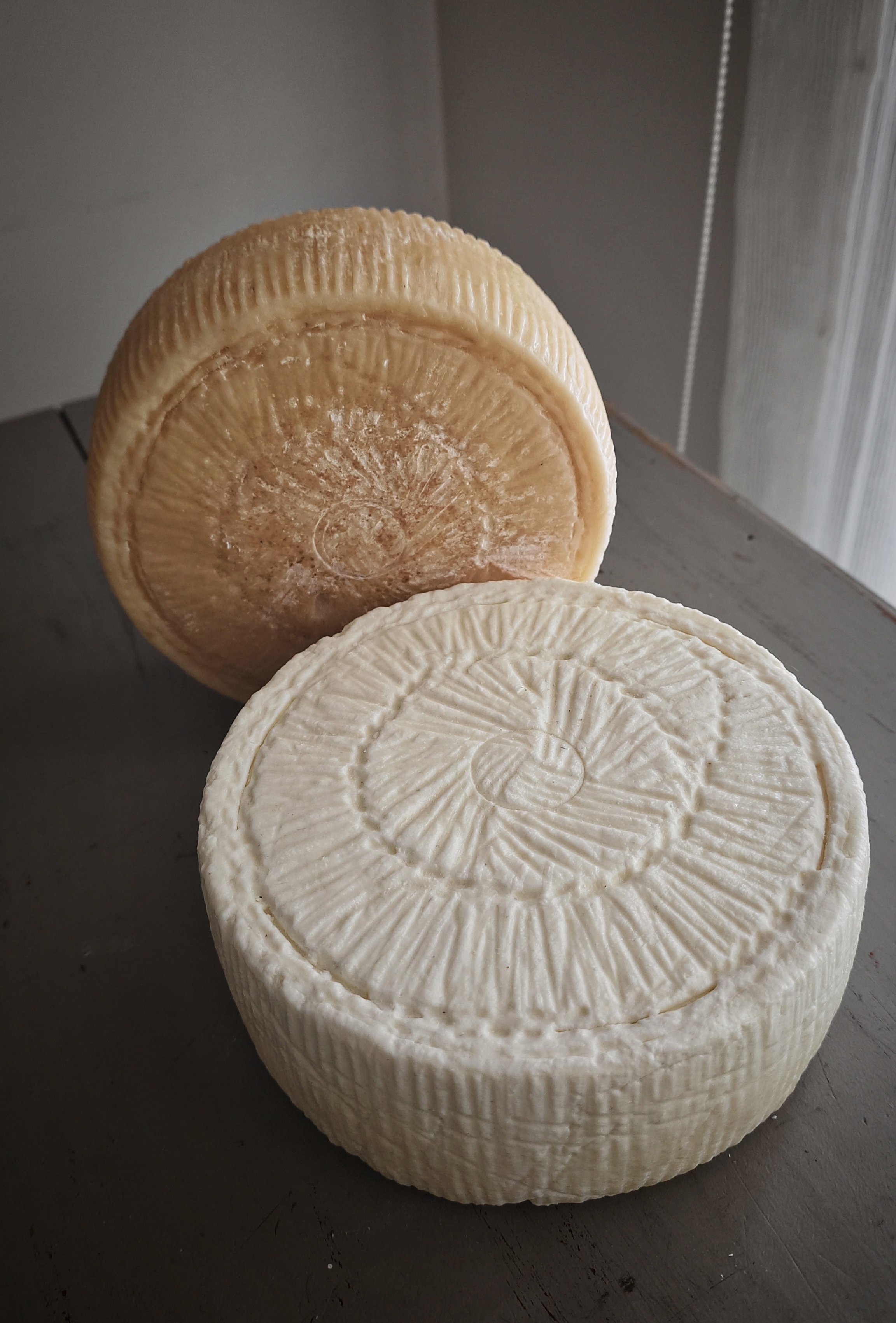 Manchego cover