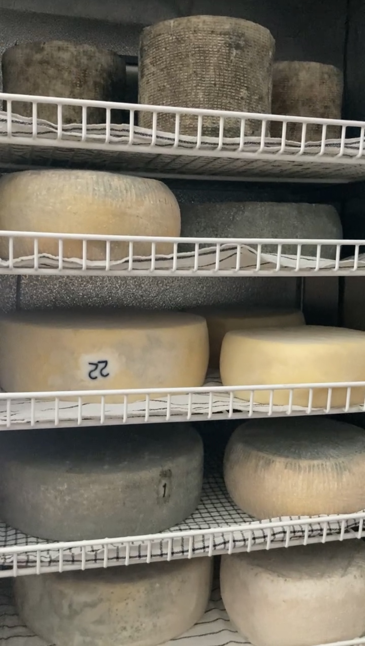 Cheese Aging Chamber cover